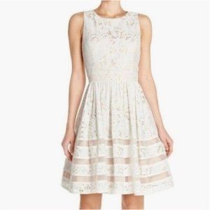 Eliza J Lace cream and champagne dress 16w